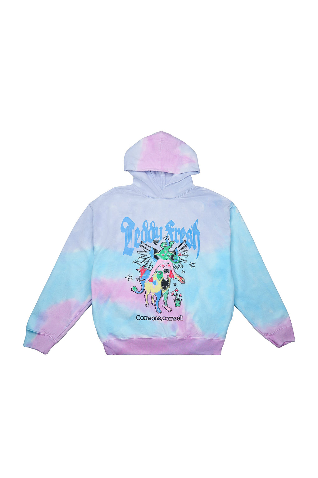 Come One Come All Hoodie